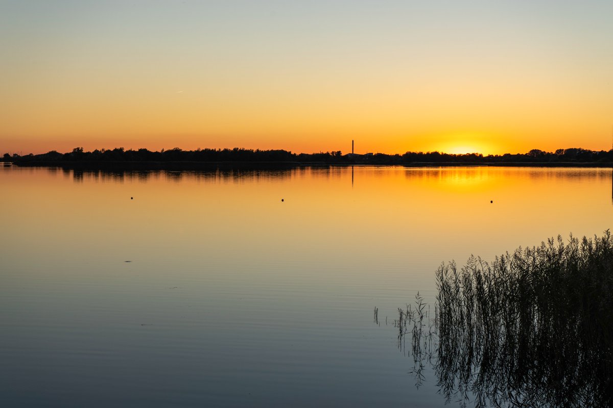 DorteHedengran's tweet photo. A beautiful day at the fjord 🌥️

#Denmark #SonyAlpha #NaturePhotography #January22th #WednesdayVibes #WednesdayMorning #Wednesday 

📸Dorte Hedengran https://t.co/uQvjCmVsAW