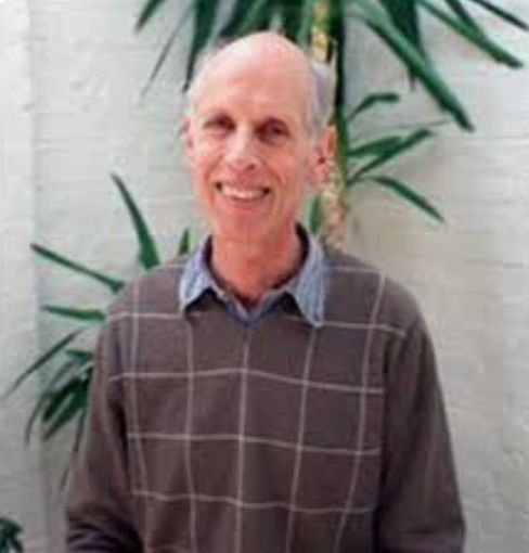 Birthlight tweet media