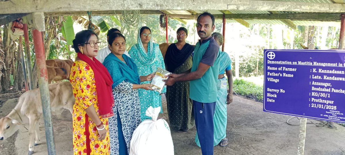 dirahvsandaman's tweet photo. farmers were informed about the importance of deworming and the role of mineral mixture supplements in boosting immunity. A total of 12 farmers attended the demonstration programme https://t.co/nrfNParkmA