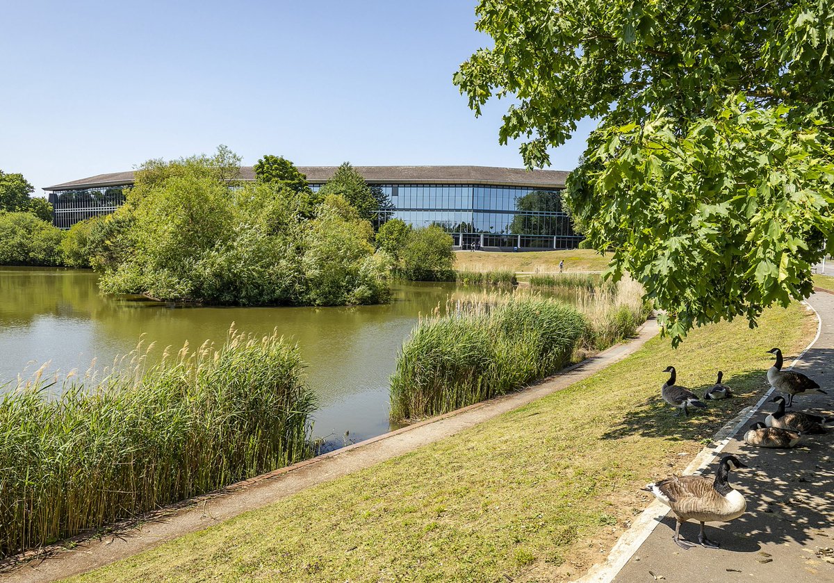 A well-managed BID unites stakeholders to enhance masterplans and strategies, creating long-term value for all. Learn how we can support your BID or placemaking plan at pfbbuk.co.uk.