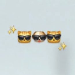 bbhpikochu's tweet photo. The model                                    The emoji https://t.co/S2dueFK5lS