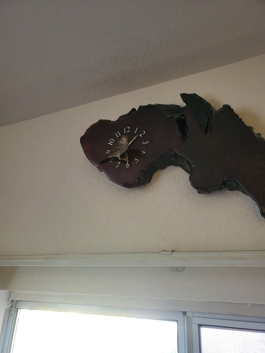 ๐๐
ฐ๐ ๐
ผ๐๐
ป๐
ป๐
ธ๐
บ๐
ธ๐
ฝ ๐ฌ๐บ๐ธโ๏ธ tweet media