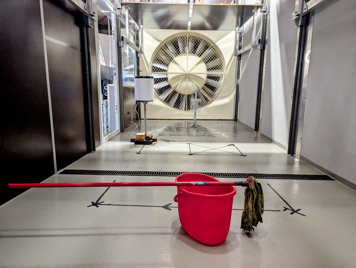 Equipped with his five senses and a mop, man explores the universe around him and calls the adventure Science.