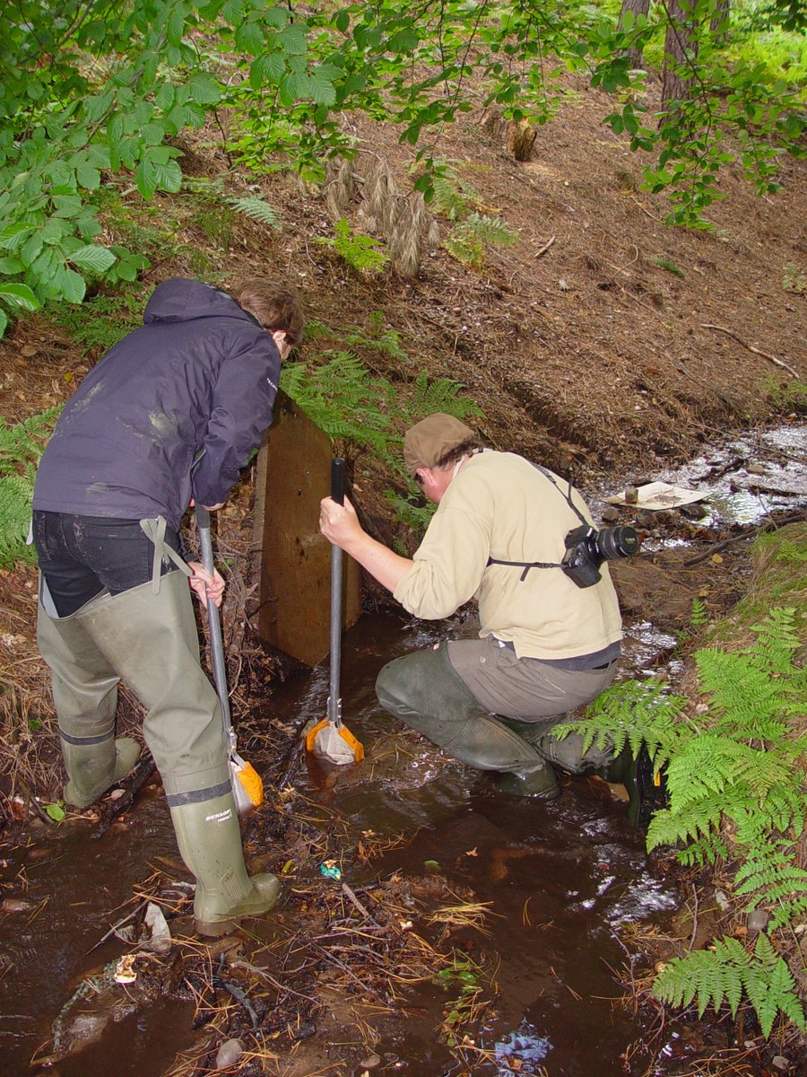 StaffsInvertScience tweet media