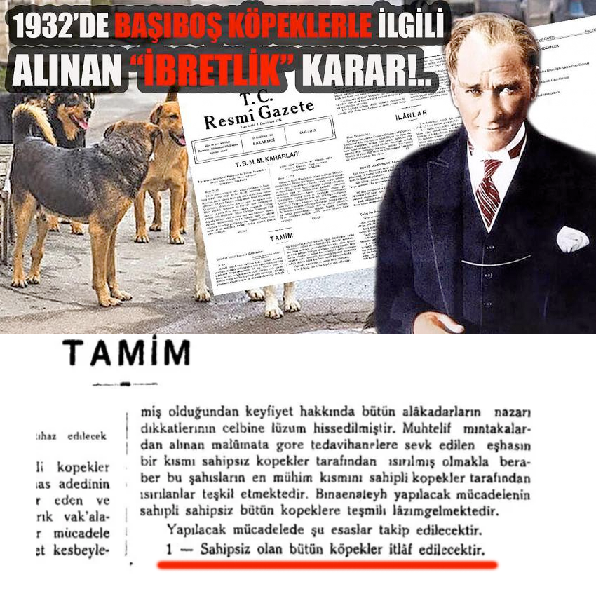 AtillaYeni2's tweet photo. @evren_civan Atatürk düşmanları sizi. https://t.co/6AEyb3qOVJ
