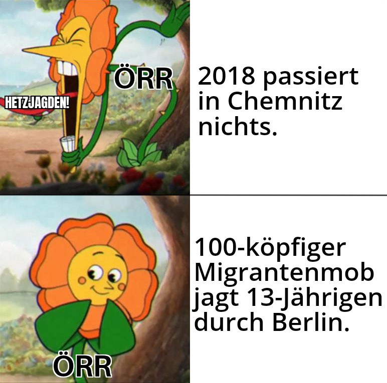Warum wird die Jugend Rechts? 
Weil sie die Folgen der Massenmigration direkt betreffen. Sie können sich nicht in ihr Reihenhaus zurückziehen und den Zustand des Landes ignorieren. Nur Remigration gibt ihnen eine Zukunft.