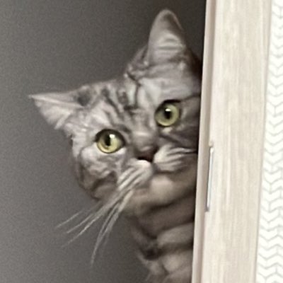 KittyCatCharlie's tweet photo. #새프로필사진 https://t.co/WRw9uAw6TG