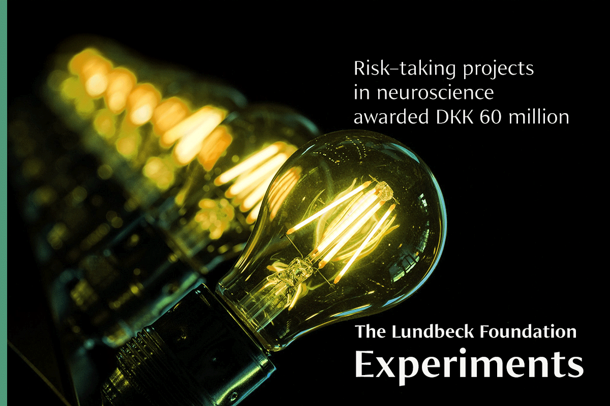 The Lundbeck Foundation awarded 30 innovative researchers with our Experiment grant. The recipients range from Postdocs to Professors, united by their innovative approaches. 

Read more about the innovative research here:lundbeckfonden.com/news/risk-taki…

#dkforsk #dkvid #experiment