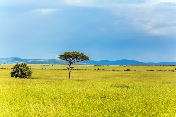 GeographicalMag's tweet image. 🌎❄️☀️ Test your climate knowledge! Can you name the world's climates from tundras to tropical rainforests? Take the quiz and find out! 

#ClimateQuiz #GeographyTrivia #EarthScience 🌍🗺️ 

geographical.co.uk/quizzes/quiz-c…