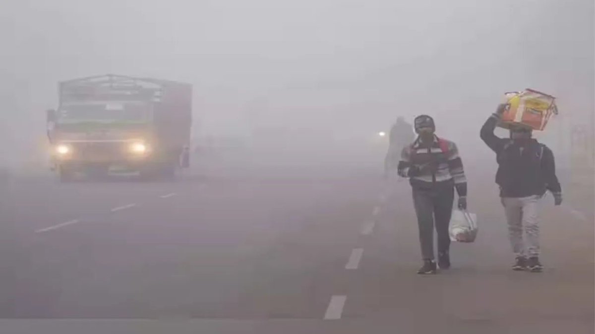 thenewsdrum's tweet image. Rajasthan reels under cold conditions, Temp of Mount Abu settles at 2.4 deg C
newsdrum.in/national/mount…

#Rajasthan #Weather #WinterAlert #WeatherNews #Weatherupdate #MountAbu