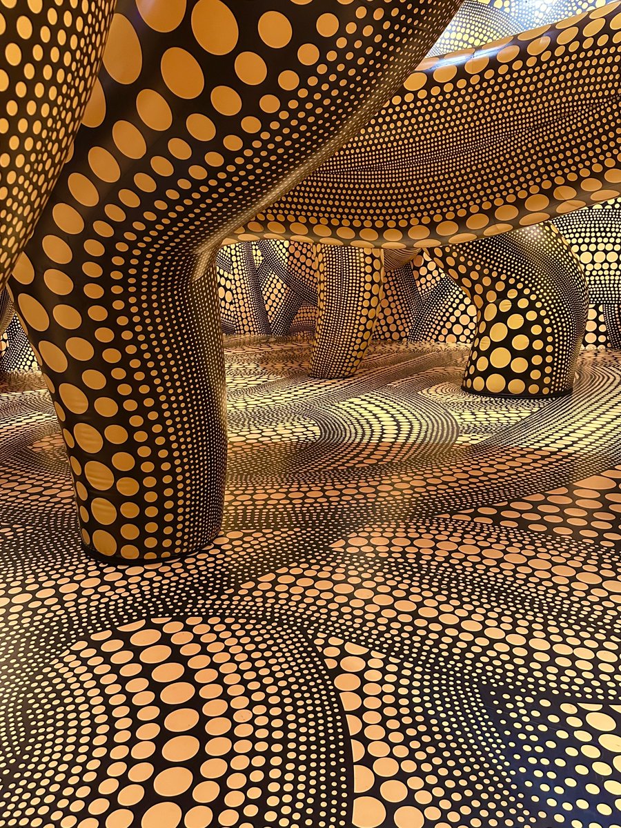 pjmurray_lab's tweet image. Great to be home in Melbourne for some summer weather, AO and the excellent Kasuma exhibition at the NGV. Great job to pull that together. The “tentacle” room is something else