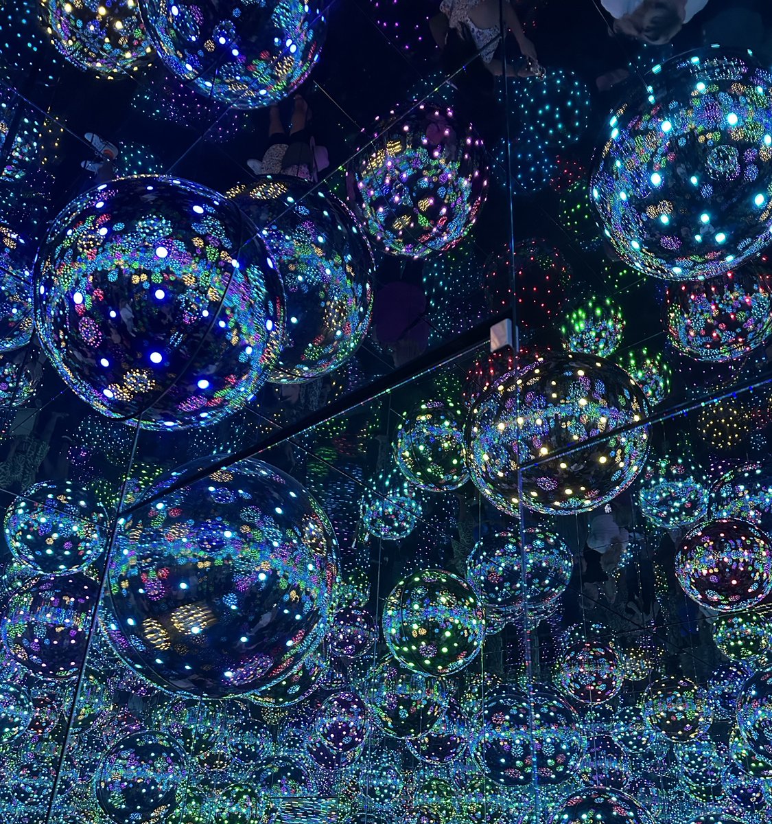 pjmurray_lab's tweet image. Great to be home in Melbourne for some summer weather, AO and the excellent Kasuma exhibition at the NGV. Great job to pull that together. The “tentacle” room is something else