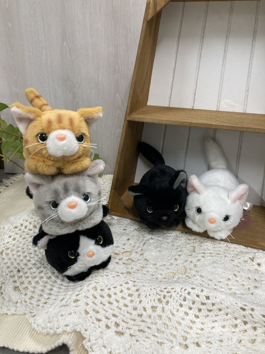 お腹ぽっこり♡ふわふわエキゾチックベビー♡アートドール♡ぬいぐるみ♡子猫ちゃん♡