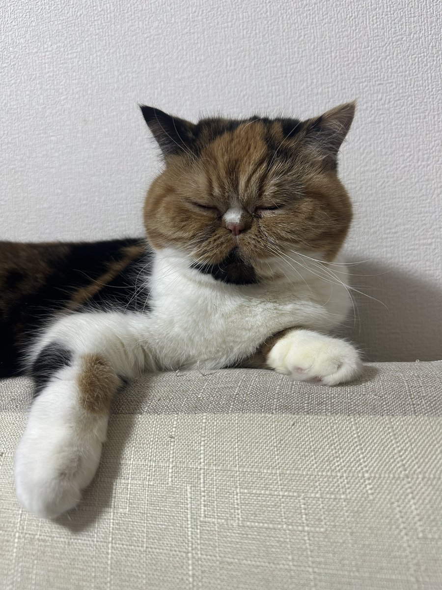 retasu1001's tweet photo. もう夕方🌆 https://t.co/fkDtbJ1eNA