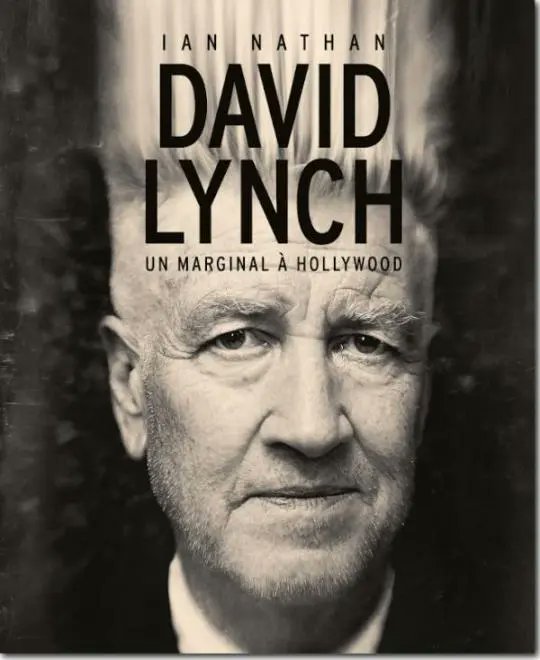 Brucelitleblog's tweet image. Il y a un an, un livre de @IanNathan  paru chez @HUGINNMUNINNOFF Muninn proposait une photographie synthétique de l&apos;oeuvre de Lynch :
📷 brucetringale.com/lhomme-mystere/

@DavidLynch_
