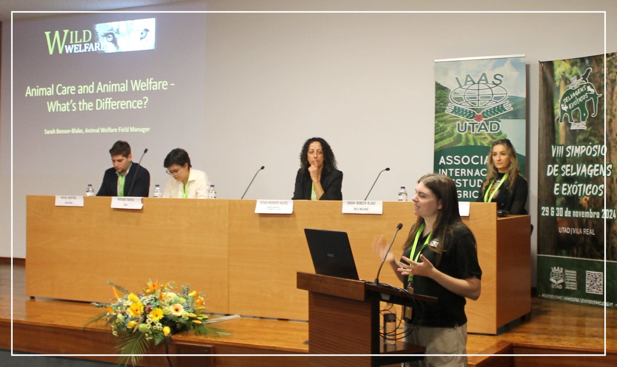 We recently joined over 75 #animal specialists, including students, zoo professionals, #wildlife biologists, and more for a symposium in Portugal 🇵🇹

Read the article to find out more about how Wild Welfare contributed to this international event: wildwelfare.org/portugal-sympo…