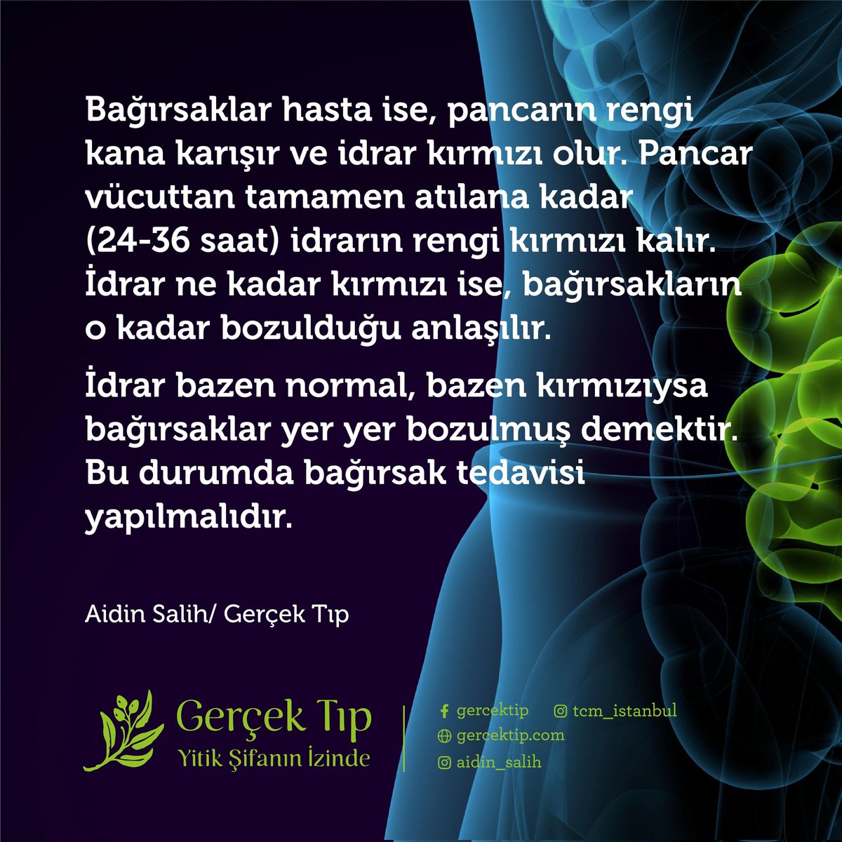 Bağırsak sağlığını kontrol etmek için rendelenmiş 100-150 gram pancar,limon suyu, sarımsak ve zeytinyağı ile yenir. 3 saat sonra başlayan ve 24-36 saat süren idrar kontrolünde,pancarın rengi idrara karışmazsa bağırsaklar sağlıklıdır.İdrar kırmızıysa bağırsaklar bozulmuş demektir.