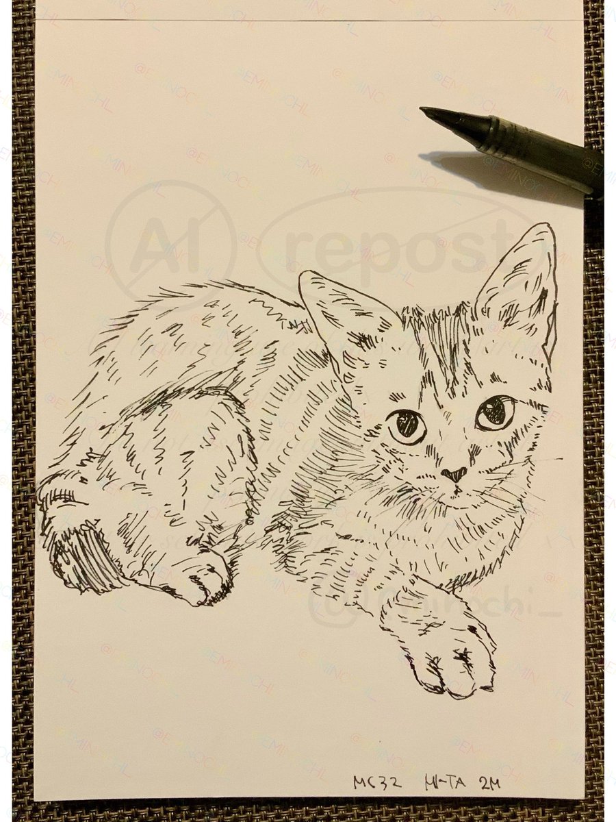 ウチの猫スケッチ🐈‍⬛🎨　32 みーた

生後2ヶ月ごろのみーちゃん

あの頃のみーちゃんは痩せていて、お腹がゆるくて、目やに鼻水も出ていました
懐かしー

仕事が忙しく低浮上です