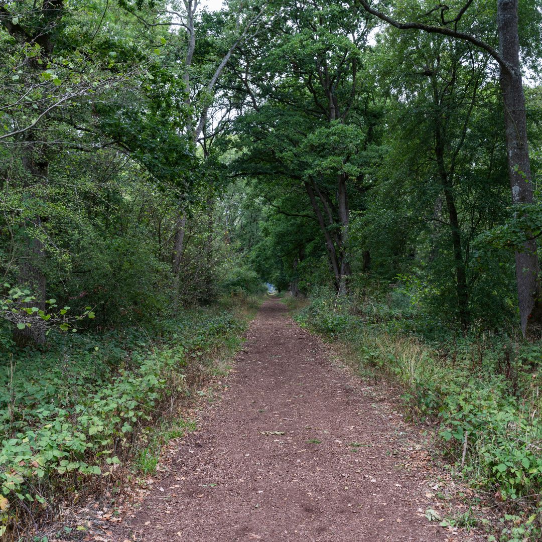 Join our Community Volunteering Task on Saturday 25 January at 10am to help restore the bridleway through Linford Wood.

Volunteers will be laying woodchip to help keep it in a great condition for walking, running, cycling &amp; horse riding.

Find out more: ow.ly/XLUT50UHvlk