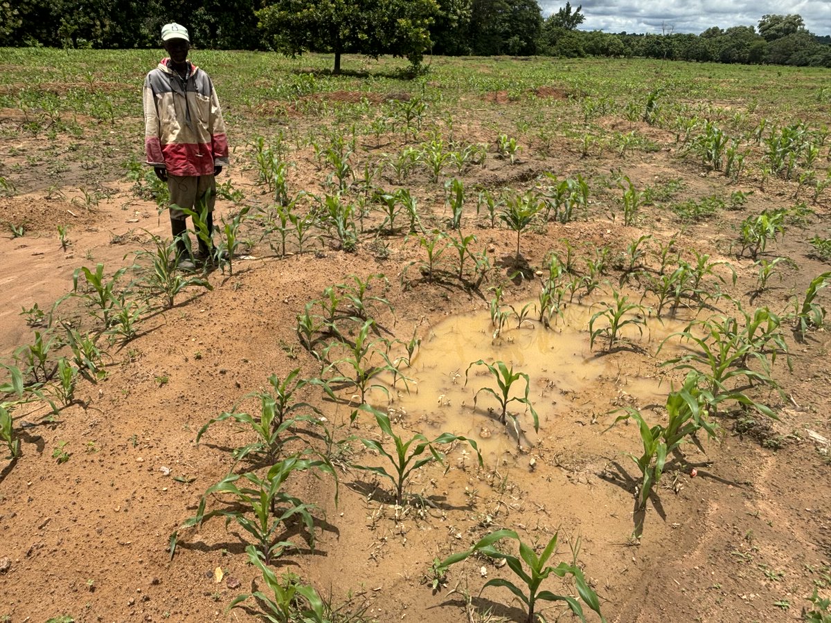WFP_Cotedivoire's tweet photo. Dans le Tchologo et le Bounkani🇨🇮, les effets du #changementclimatique affectent les terres agricoles &amp; les moyens de subsistance des communautés. Grâce au soutien financier de @dfat, @WFP_Cotedivoire y a restauré ➕5⃣ hectares de terres dégradées en créant  1⃣2⃣1⃣2⃣  demi-lunes. https://t.co/Oac4dMcyJK
