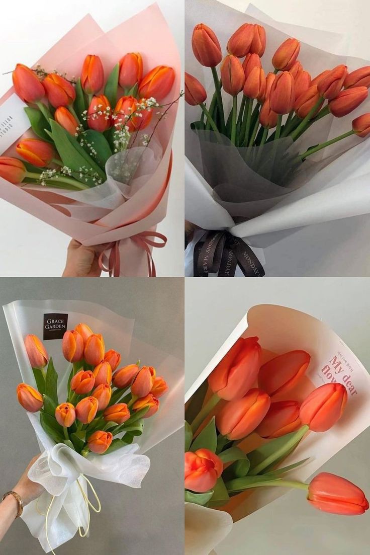 Orange tulips 🧡