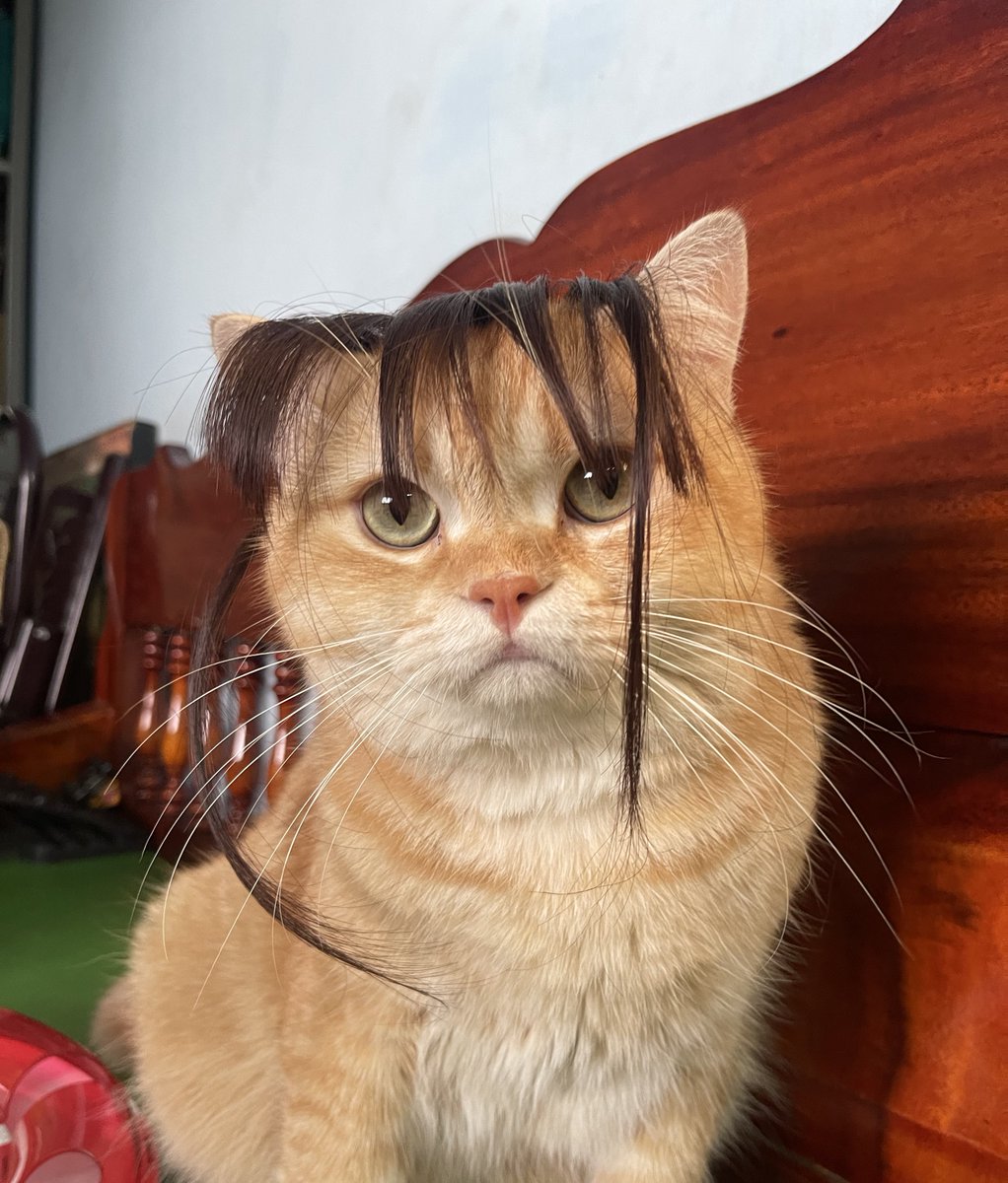 พูดอะไรให้เกียรติทรงผมผมด้วยครับพี่