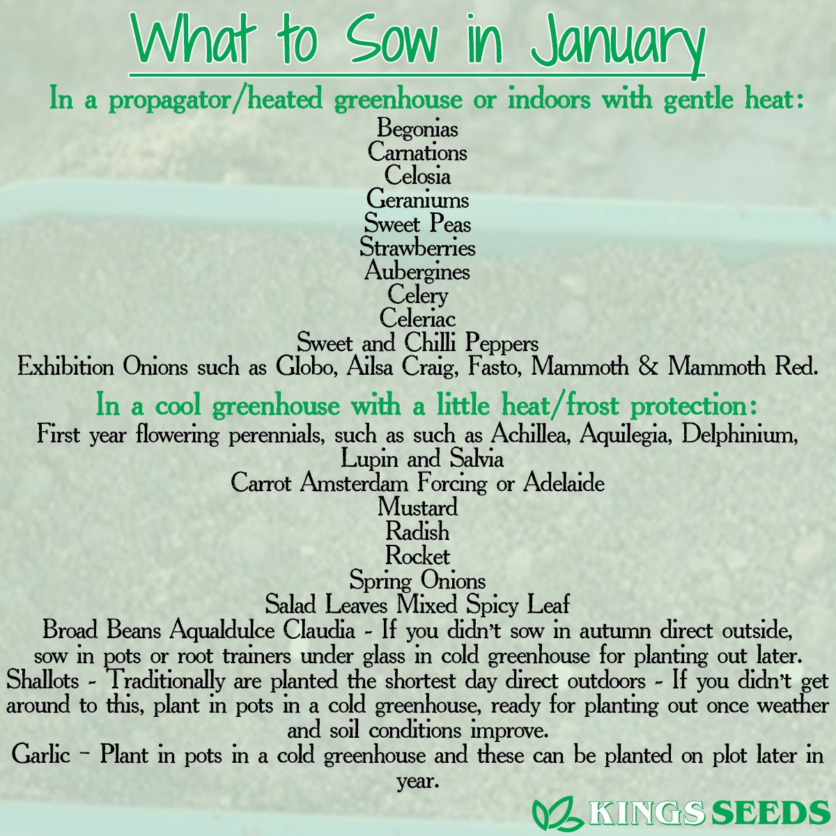 Have you started off the sowing season yet?
Although there isn’t a huge list of veg and flowers  to sow now, here’s a few varieties that you can start with 🌱💚
#growyourown #growyourownfood #gardenlife #gardening #vegplot #ontheallotment #seedsowing #whattosownow #gardeningguide