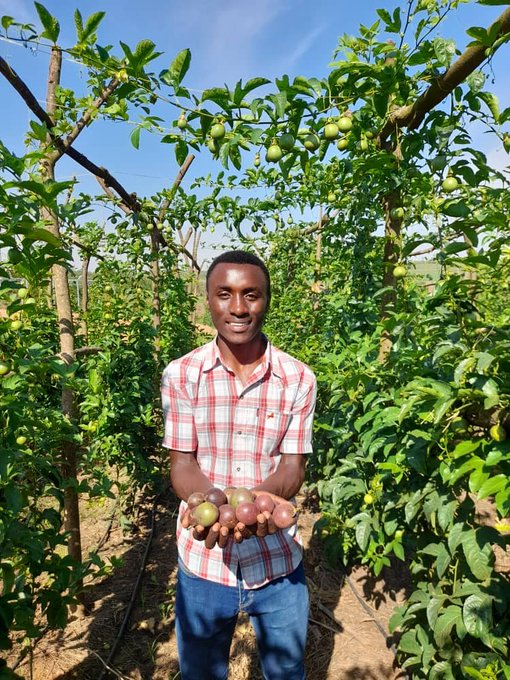p_dusabimana's tweet photo. Before joining agribusiness, don't focus simply on how many people are growing certain crops or raising particular livestock at the present. Many farmers fail in the market because they produce in bulk without strategically analyzing future trends.

Farmers must become market analysts and, sometimes, take the road less traveled if they want to successfully lead the market. Have a plan, but when things go off course, persist, adjust, and try again.

How do you analyze future market trends to guide farming decisions? Let's learn from one another.

#Farming #SustainableAg #FoodMarket #Agribusiness