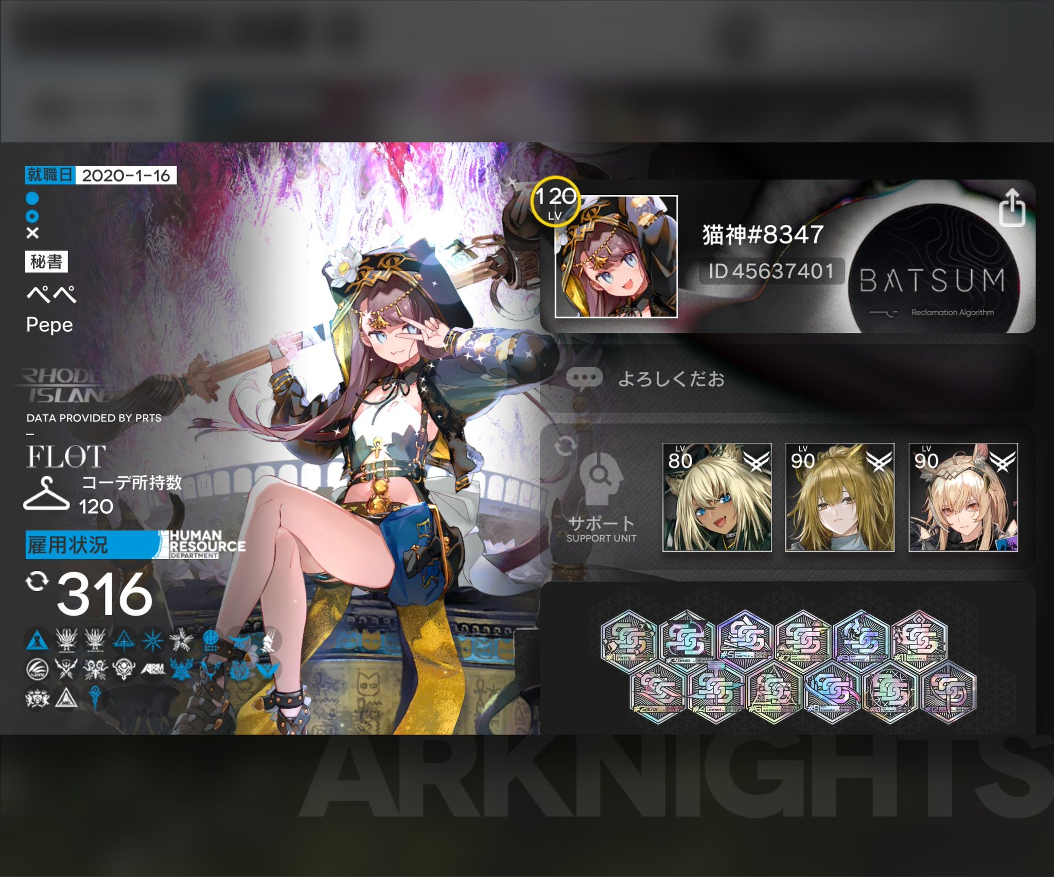 ねこ様 2点 まとめリクエスト neko様 リクエスト 2点 まとめ商品 まとめ売り
