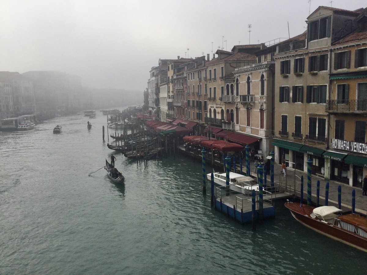 Cat_Bauer's tweet photo. Fog in Venice at Rialto
#caigo https://t.co/mOuN7DF0s8