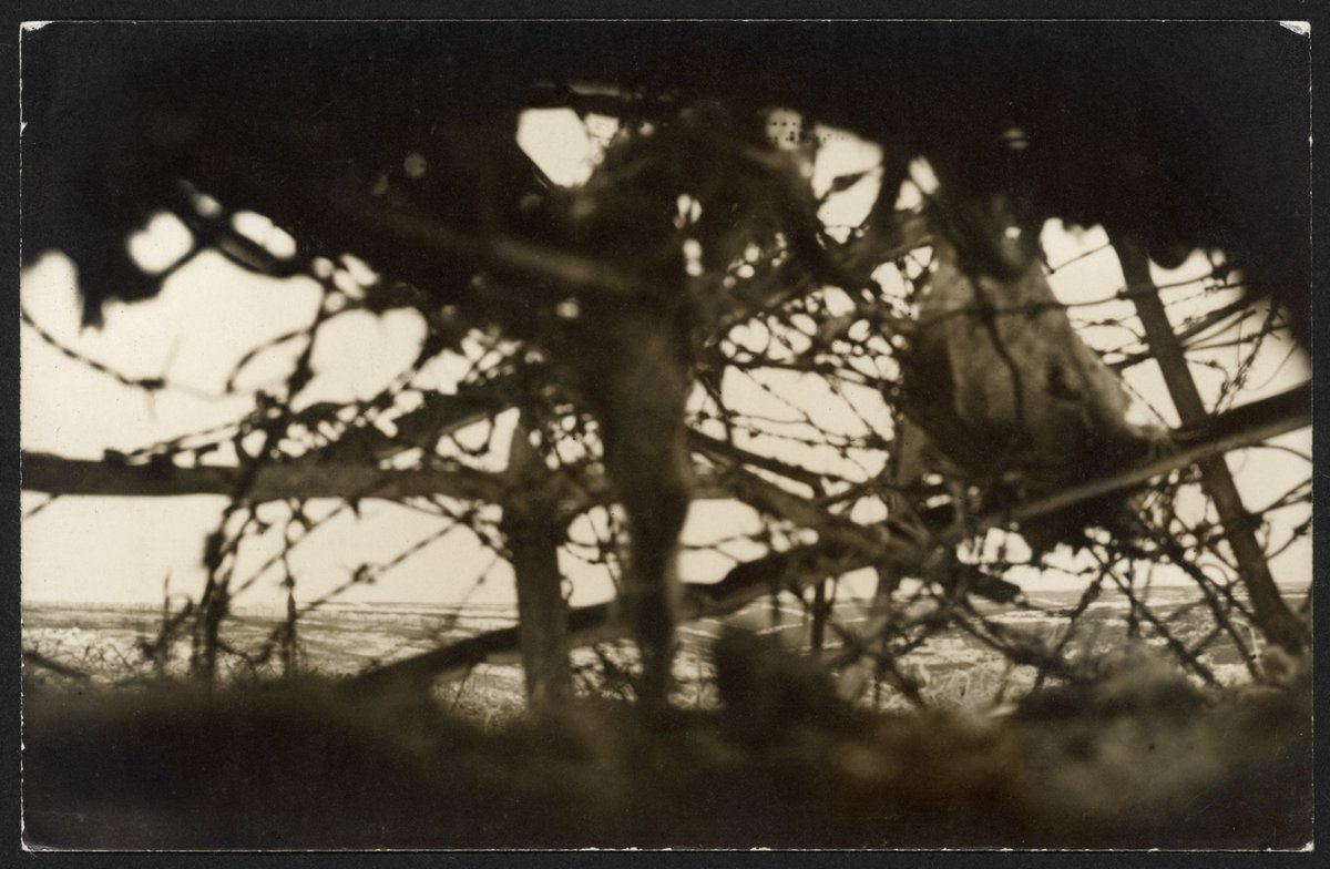 "Ein Blick aus der Sappe feindwärts durchs dichte Drahtverhau. (Kanonenberg) Champagne 1 Sept 16". Eine seltene Aufnahme, die zeigt, was die Soldaten im alltäglichen Stellungskrieg vom Gegner sahen: Fast nichts.