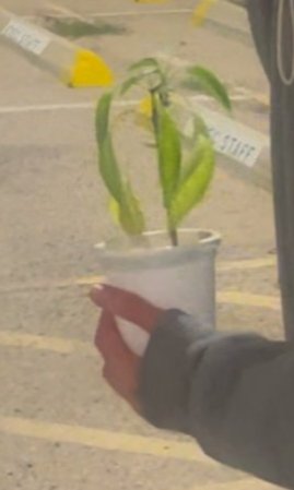 Alex 👽 tweet media