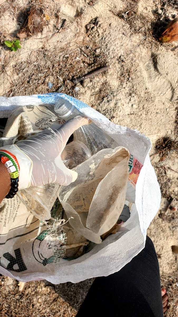 Carolmutinda7's tweet photo. Wednesday 🚮 
#Ecowarrior 
#CleanifyChallenge https://t.co/1plHP3GH5R