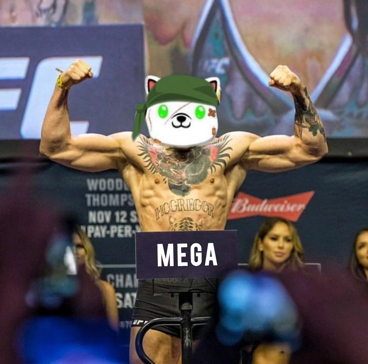 MEGA, MEGA, MEGA!!! 

Back to common sense.

#MAGAtoMEGA $KISHU