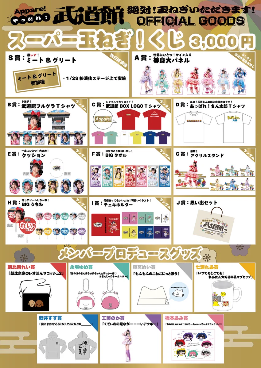 Appare! 武道館くじ ブランケット80×115cm Gh4sIADacAAxTLw?format=webp&