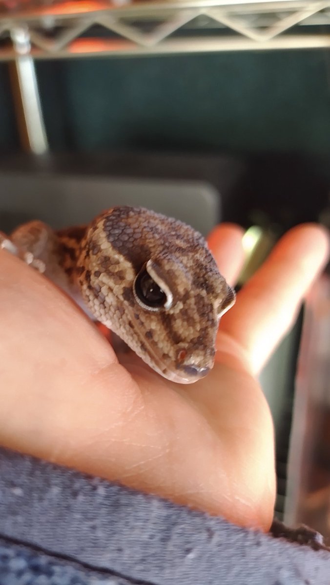 アフ蔵くん 行けーッ❗️😙
今日の相手はニシ美ちゃんだーッ❗️って、そっちはシッポだー‼️😅