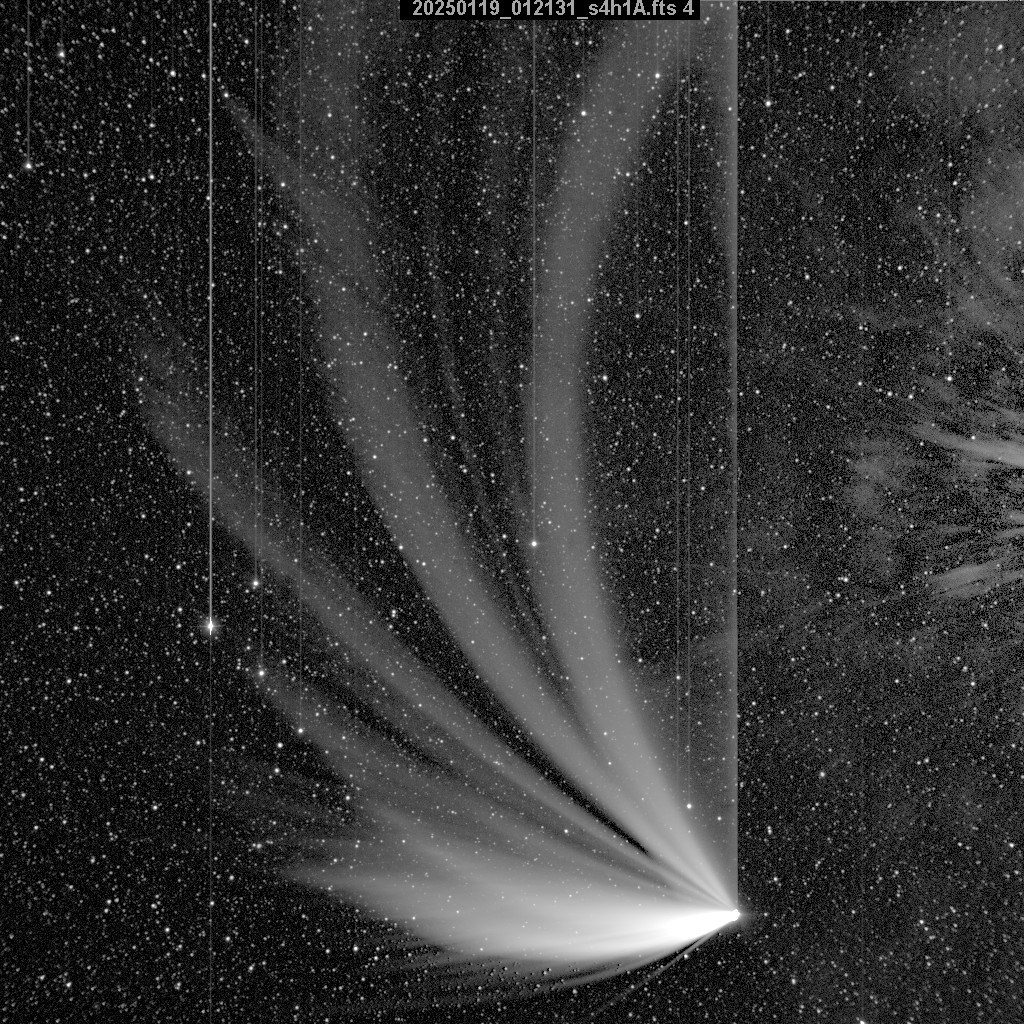 c2009a1's tweet photo. My processing of Comet C/2024G3-Atlas from the public data available. Many thanks to NASA/STEREO/SECCHI for making it avalable. https://t.co/w4GLZ0om7R