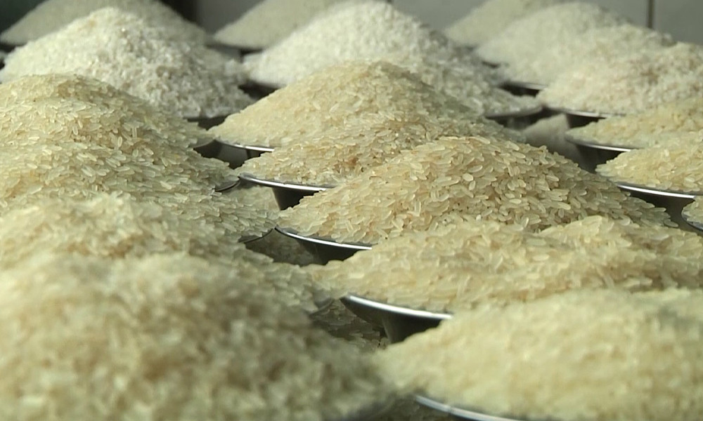 ১০ লাখ মেট্রিক টন চাল-গম আমদানি করবে সরকার