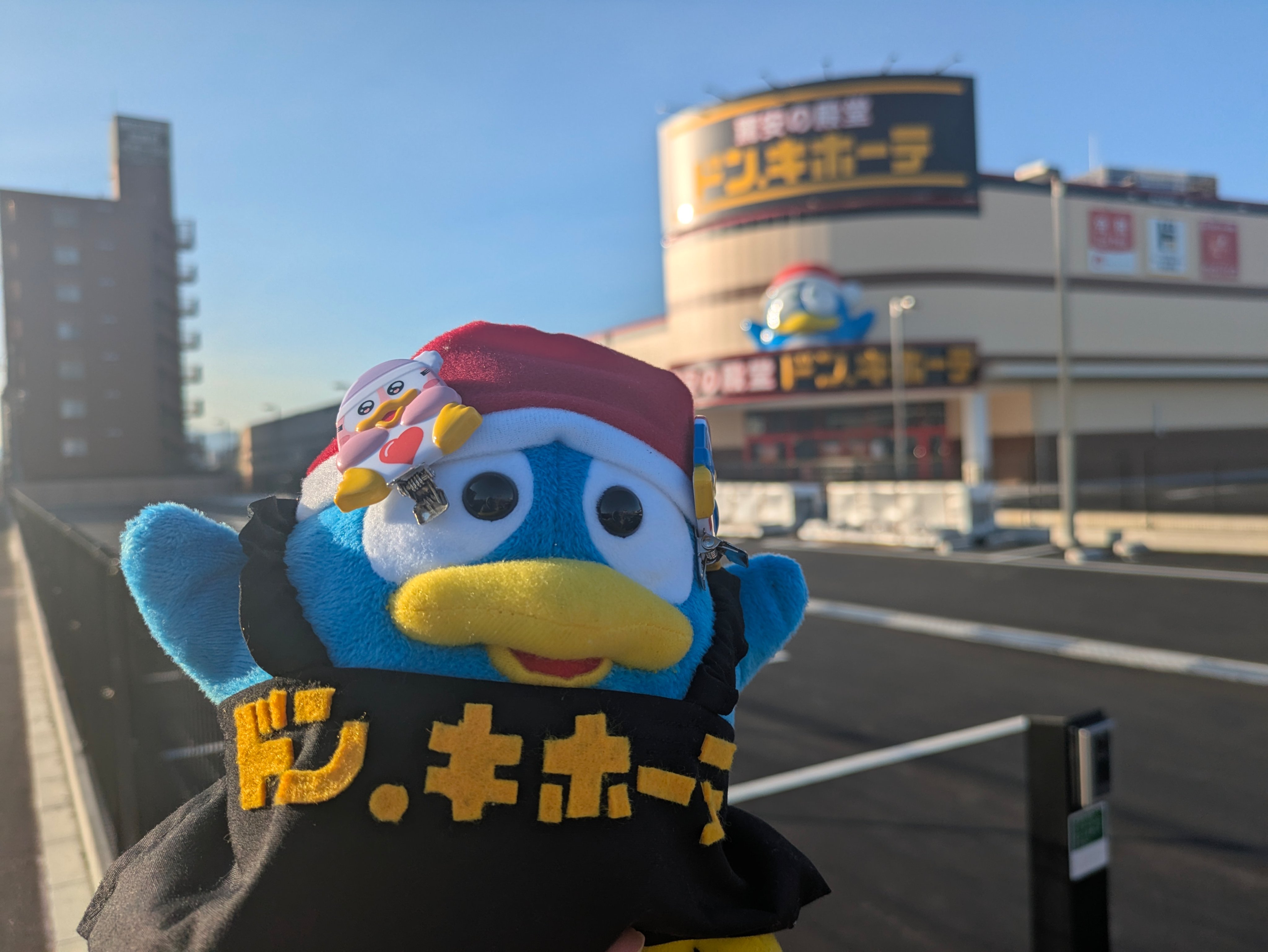 ちゃんおく on X: 