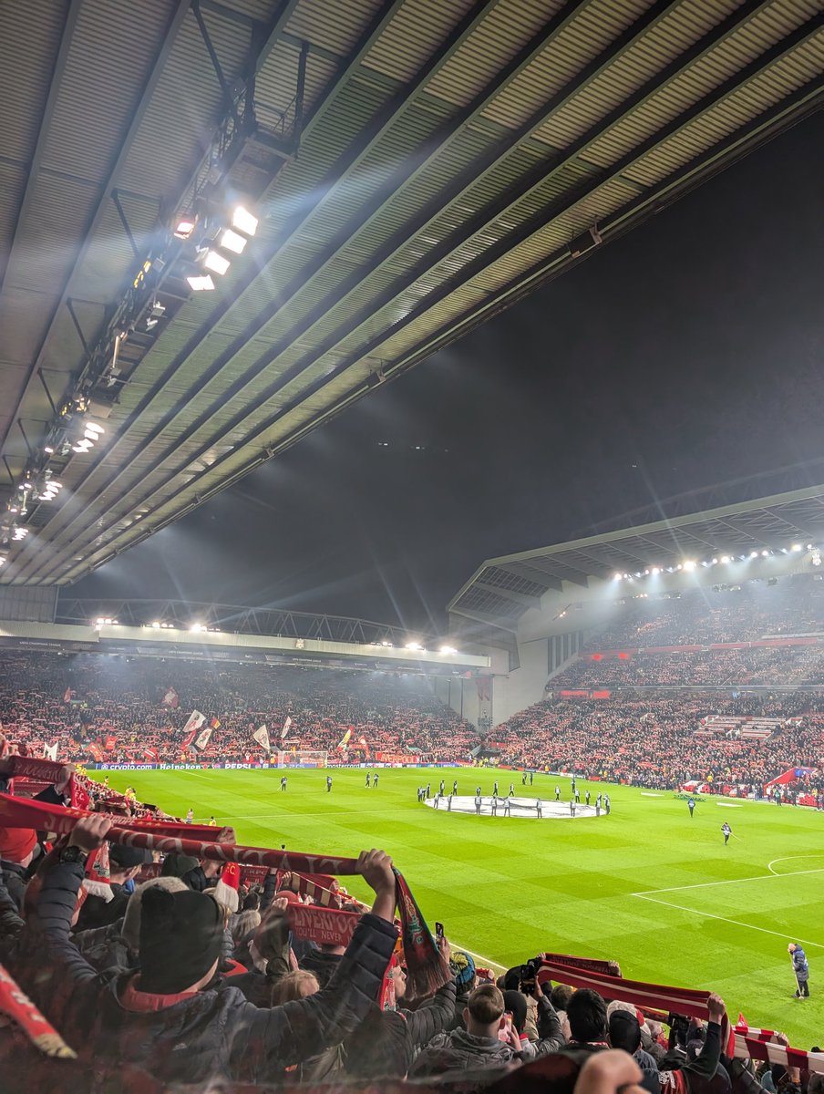 Anthony_Riddell's tweet photo. Lille (H) ⚽ 1 goal conceded at home so far 🫡 Feels like big ears is coming home this season 👌🏼🥳🏆 https://t.co/MV9VxZmFbQ