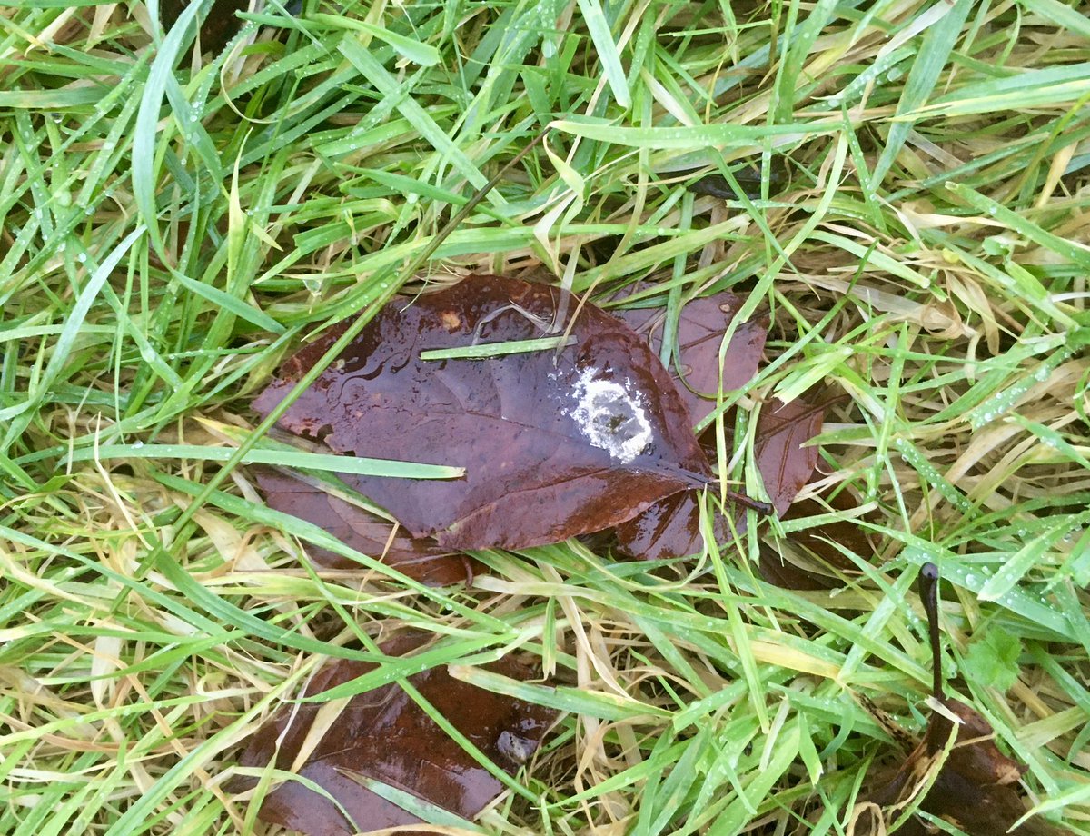 I drafted a post on here
But deleted it
Was quite poetic
Now lost forever
Or is it? 
Whatever…
Eye of the beholder