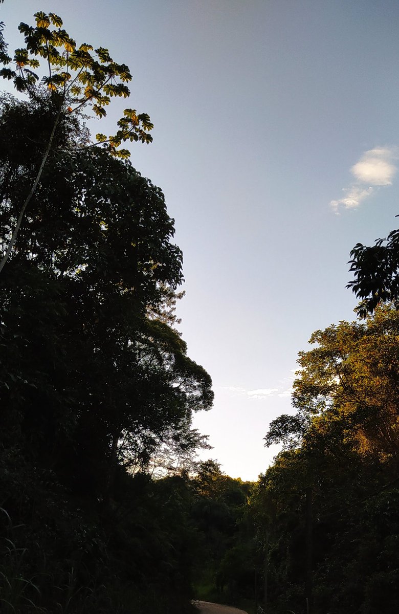 Tempo bom no amanhecer desta quarta-feira 22/01/25 em Dom Joaquim/ Brusque. Predominio do sol e máximas próximas ou ultrapassando os 35°C é a tendência para hoje. No momento 6:07 faz 23°C no bairro.