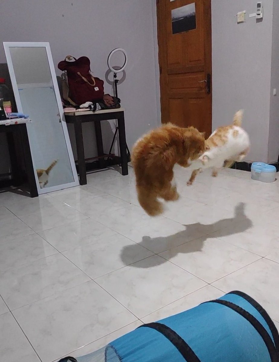 kochengfs's tweet image. Kcg! Komunitas terbang terbang