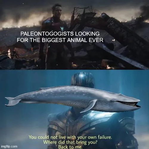 Guess this meme still rings true