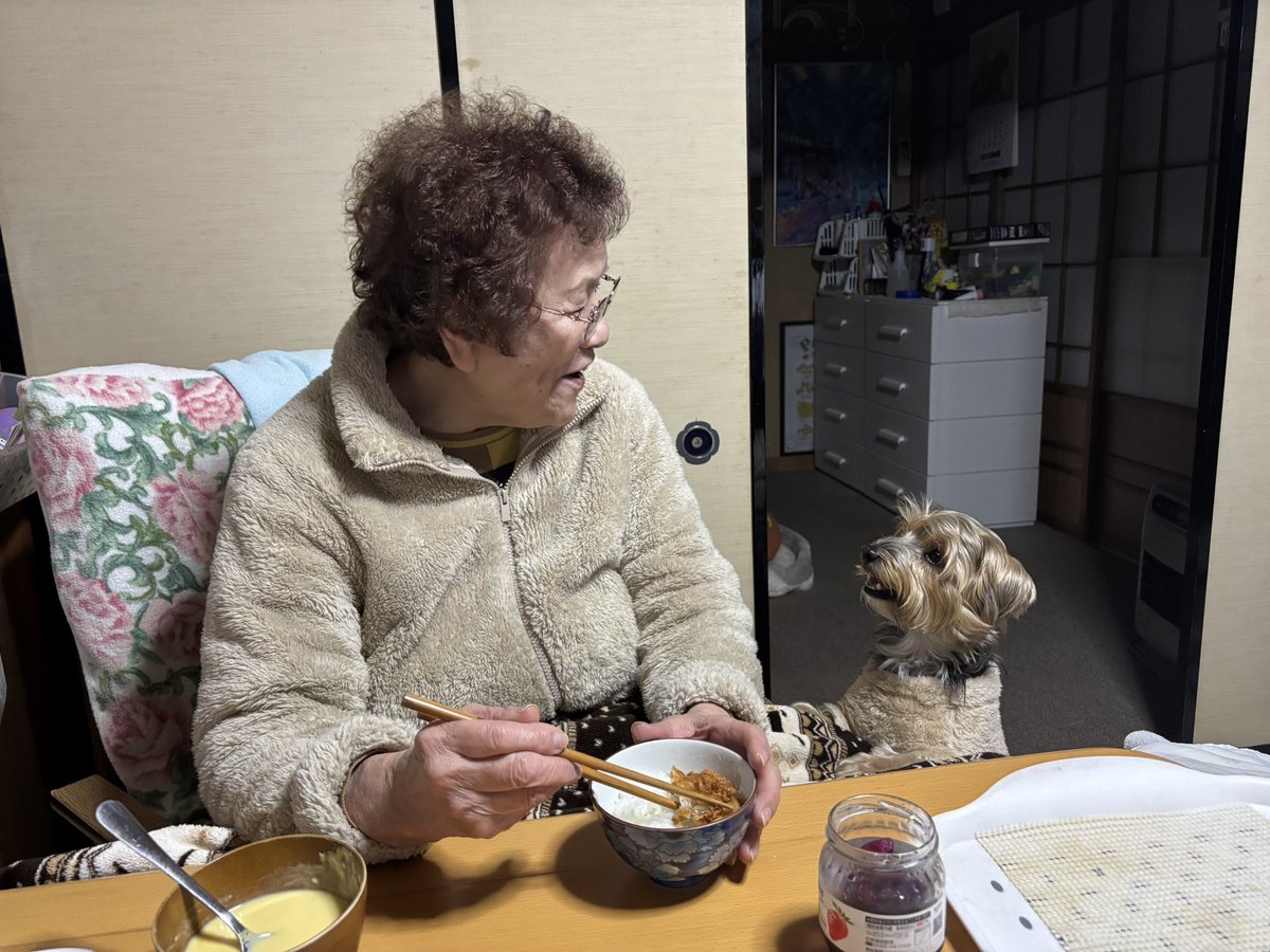 おばあちゃんとチップ、服一緒じゃ〜んって言ったら2人して同じ表情してんの良