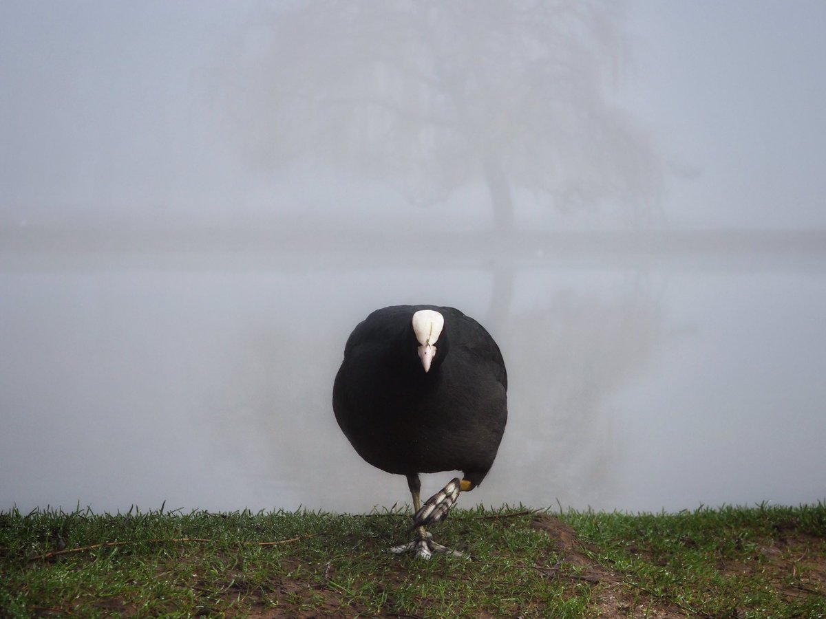 Ruth Wadey tweet media