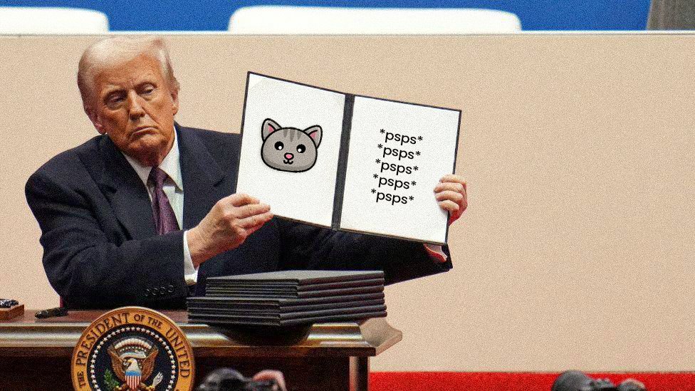 Psps Executive Order 📖