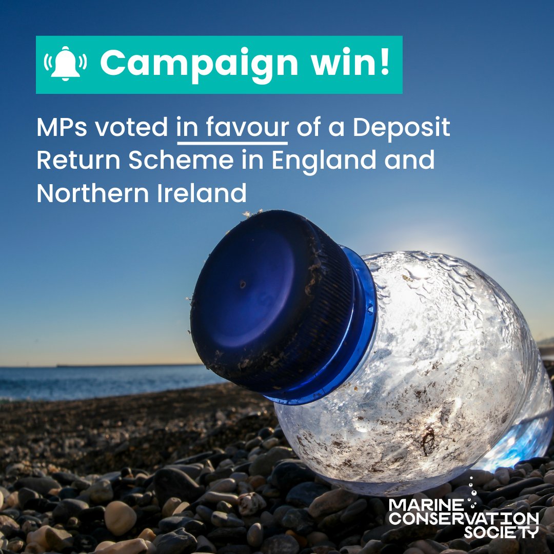mcsuk's tweet photo. Campaign win! Last night a motion to approve Deposit Return Scheme regulations was approved in the House of Commons 🙌 Last year 97% of UK beaches we surveyed were polluted with bottles and cans, posing threat to marine life like seabirds and seals 
https://t.co/UJbzeFTM7a
1/4 👇 https://t.co/sirQuGLRhX