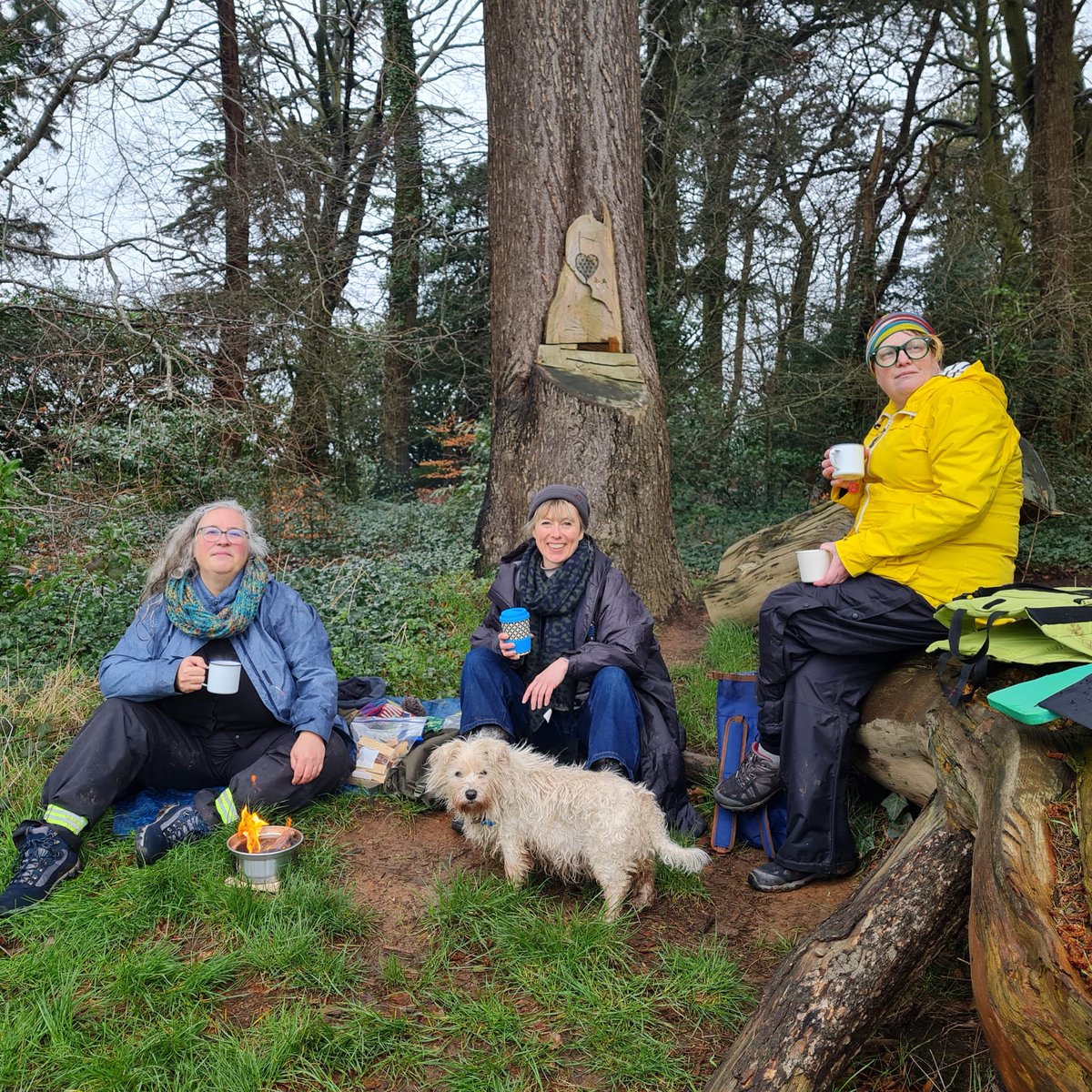 Bristol WalkFest tweet media