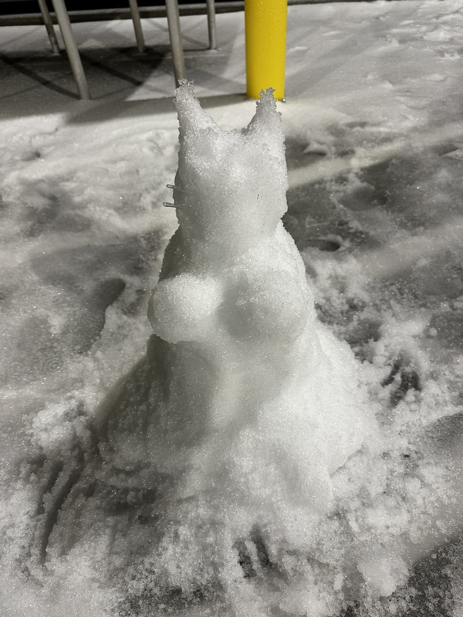 caterpilars's tweet photo. snow in florida last night eek https://t.co/qJPHWrSsA1